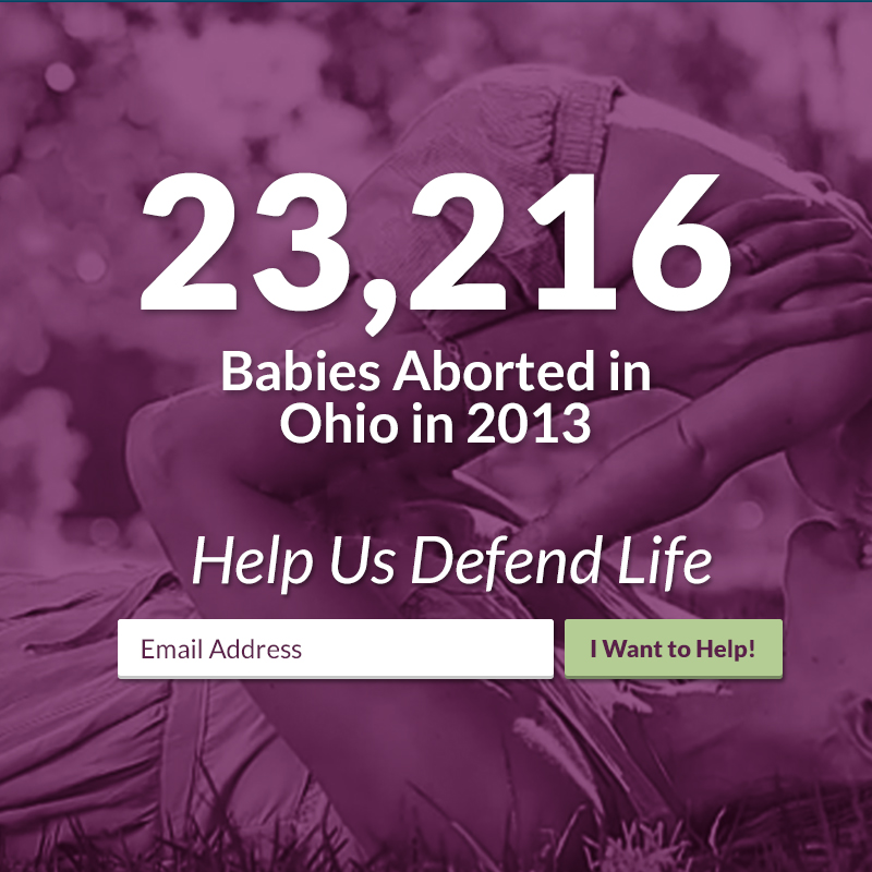 Babies Aborted in Ohio in 2013